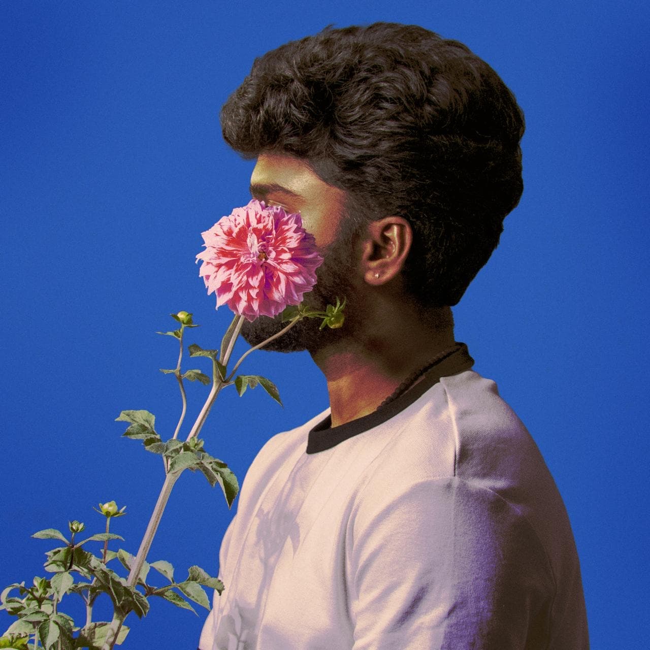Pookala Parikala album art — Ajay Nathan in profile, a pink dahlia held to his face