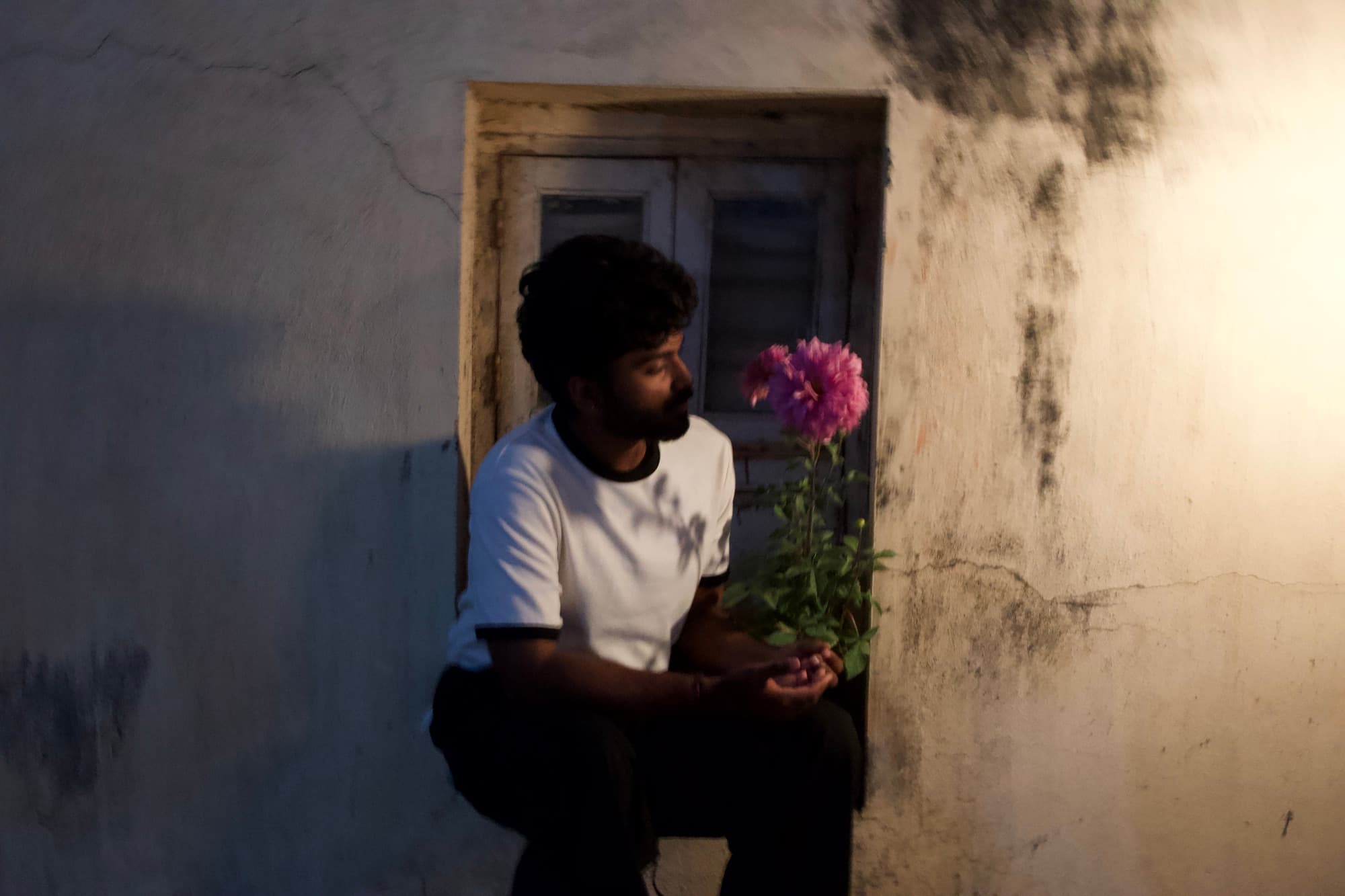 Ajay Nathan seated by an old window, holding a pink dahlia